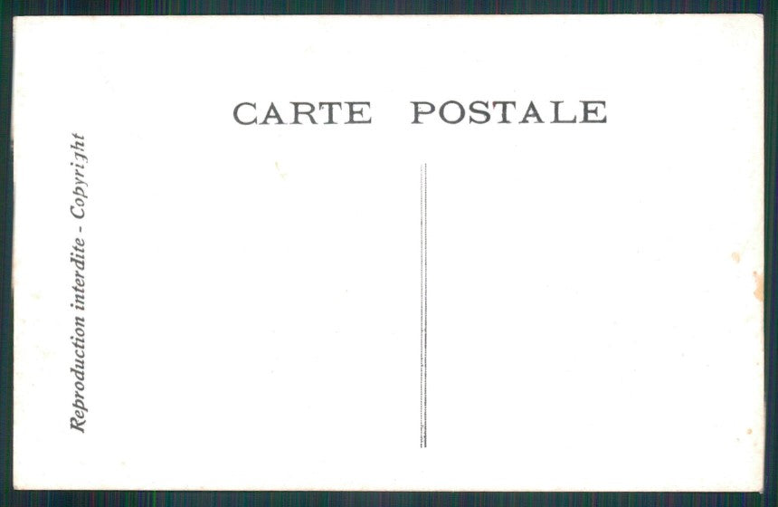 Rana Frog Frosch Chantecler Les Crapauds ELD postcard TC3648 – retro
