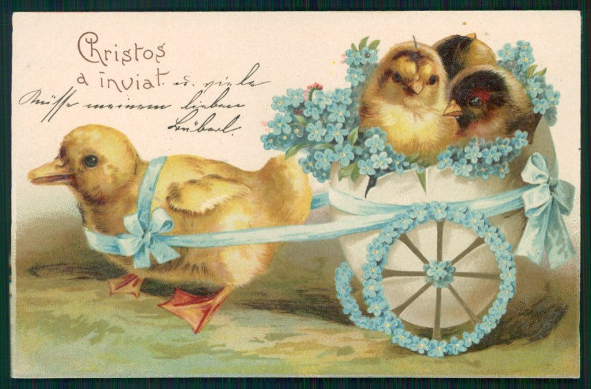Pasqua Easter Chick Ostern Küken Relief postcard TC3665 – fronte