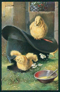 Artist Signed M. Trube Pasqua Easter Chick Ostern Küken Hat postcard TC3669 – fronte