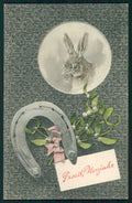 Happy New Year Rabbit serie 342 postcard TC3683 – fronte