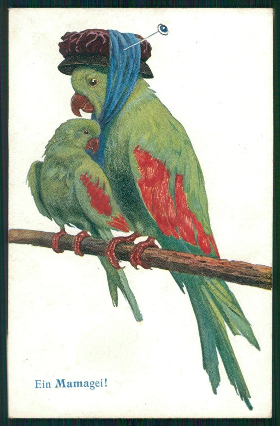 Artist Signed Pappagallo Parrot Papagei serie 4138 postcard TC3760 – fronte