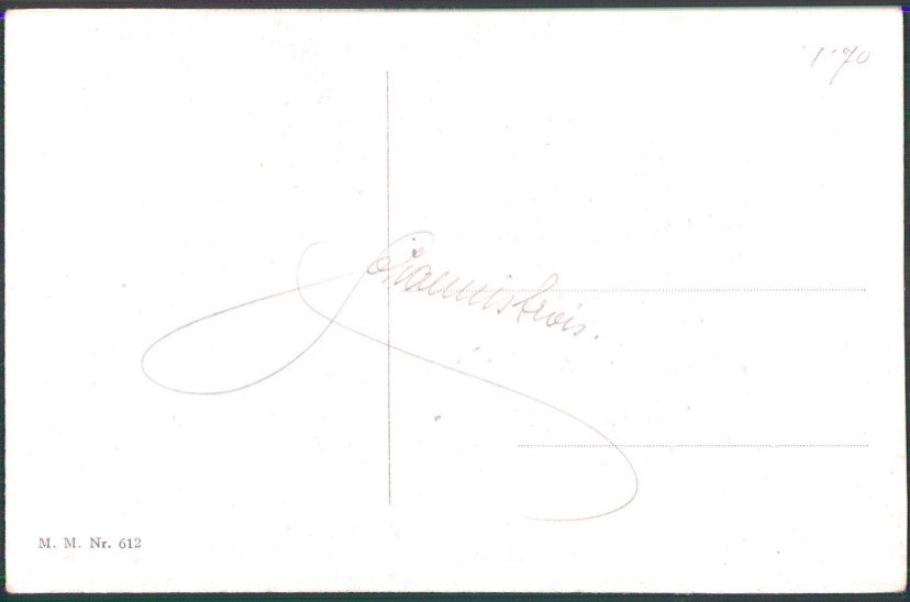 Viennoise Glamour Fashion Lady M M Vienne serie 612 postcard TC3851 – retro