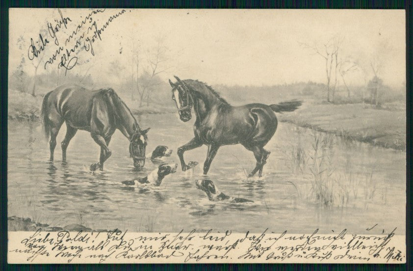 Viennoise Horse Dog M M Vienne 222 postcard TC4024 – fronte