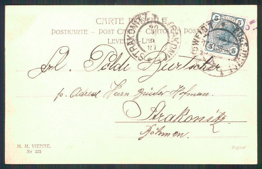 Viennoise Horse Dog M M Vienne 222 postcard TC4024 – retro