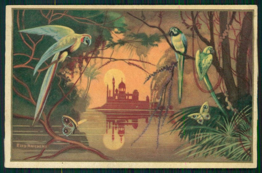 Artist Signed Anichini Art Deco Landscape Parrot serie 287 postcard TC4420 – fronte