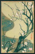 Japan Ume no Hana Osaka CORNER CREASED postcard TC4530 – fronte