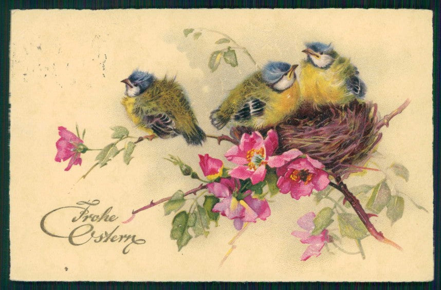 Easter Tit Bird postcard TC4666 – fronte