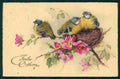 Easter Tit Bird postcard TC4666 – fronte