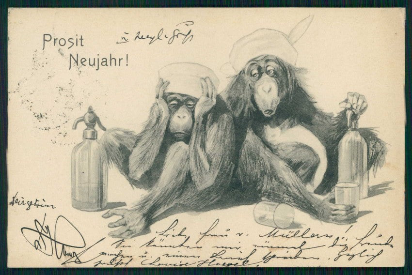 Monkey Affe Scimmia Happy New Year postcard TC4685 – fronte