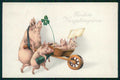 Pig Happy New Year Four Leaf Clover Good Luck 1730 postcard TC5010 – fronte