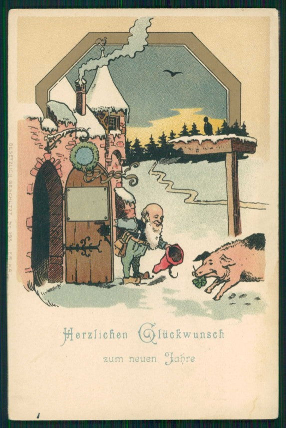 Gnomo Gnome Zwerge Dwarf Pig ERIKA 795 postcard TC5060 – fronte