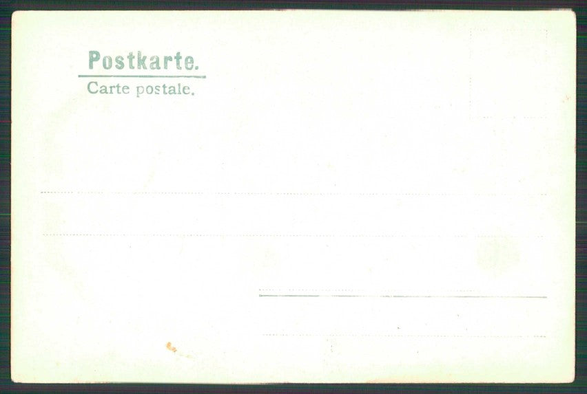 Gnomo Gnome Zwerge Dwarf Pig ERIKA 795 postcard TC5060 – retro