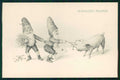 Artist Signed Ohler Gnomo Gnome Zwerge Dwarf Pig Viennoise 526 postcard TC5076 – fronte