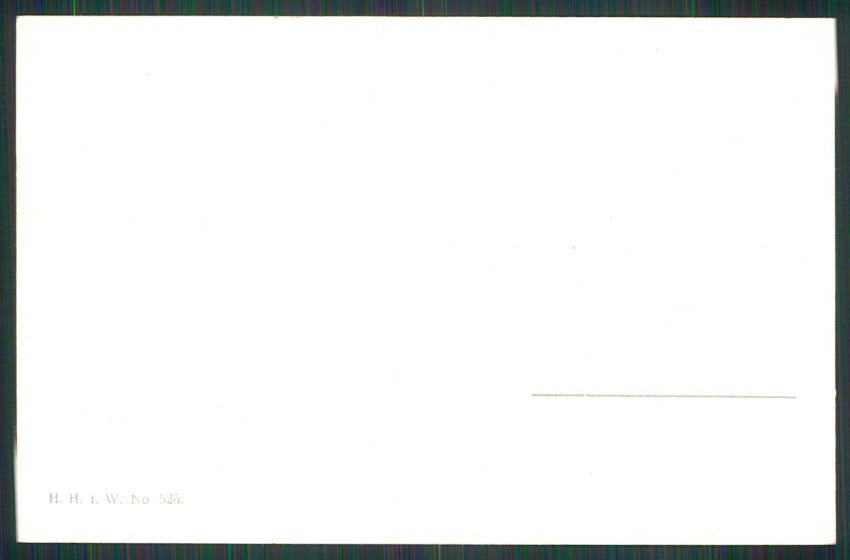 Artist Signed Ohler Gnomo Gnome Zwerge Dwarf Pig Viennoise 526 postcard TC5076 – retro