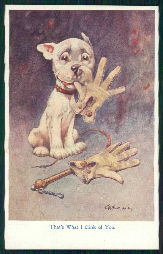 Artist Signed Studdy Bonzo Dog French Bulldog serie 1005 postcard TC5115 – fronte