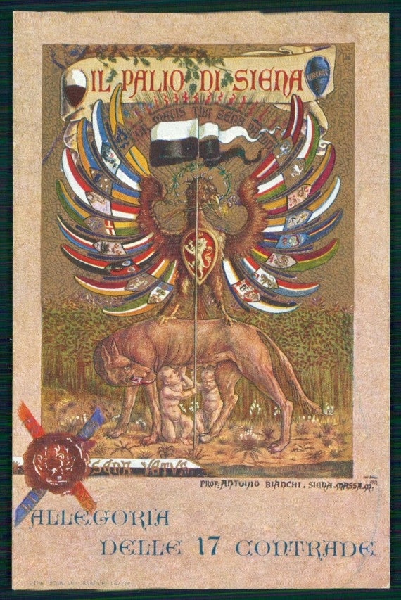 Siena città Palio Allegoria delle 17 Contrade Antonio Bianchi cartolina TC6098 – fronte