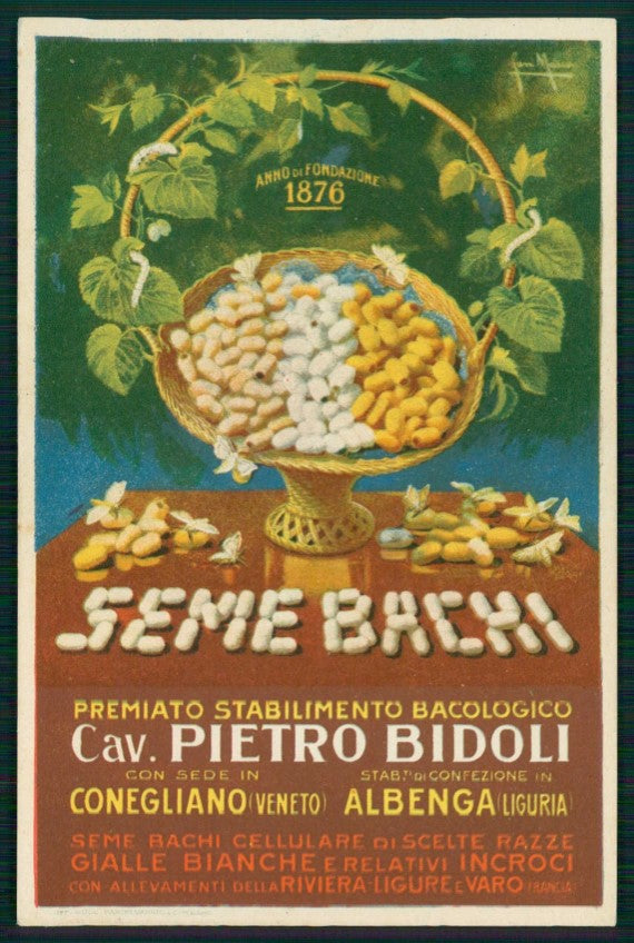 Treviso Conegliano Stabilimento Bacologico Bidoli Seta S. Marco cartolina TC6137 – fronte
