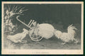 Artist Signed Espinasse Easter Humanized Rooster Egg cartolina TC6491 – fronte
