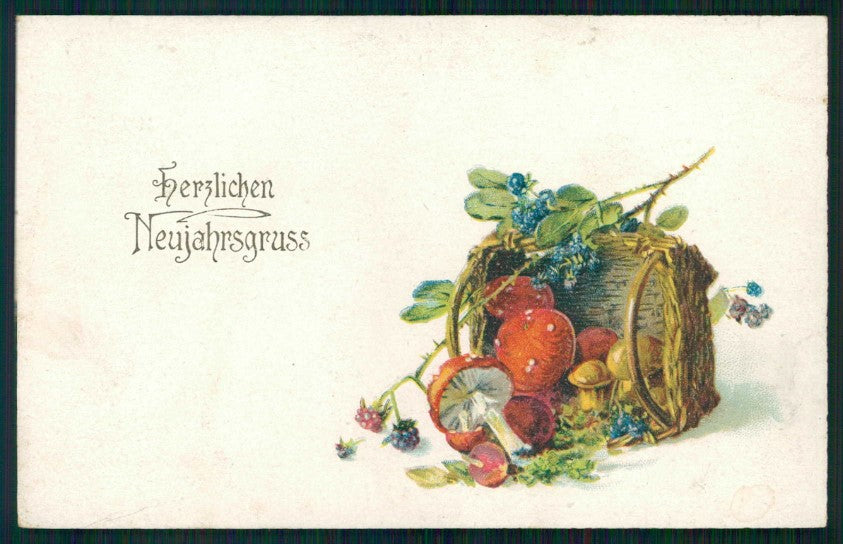 Buon Anno Happy New Year Mushroom Fungo Amag 1752 cartolina TC6558 – fronte