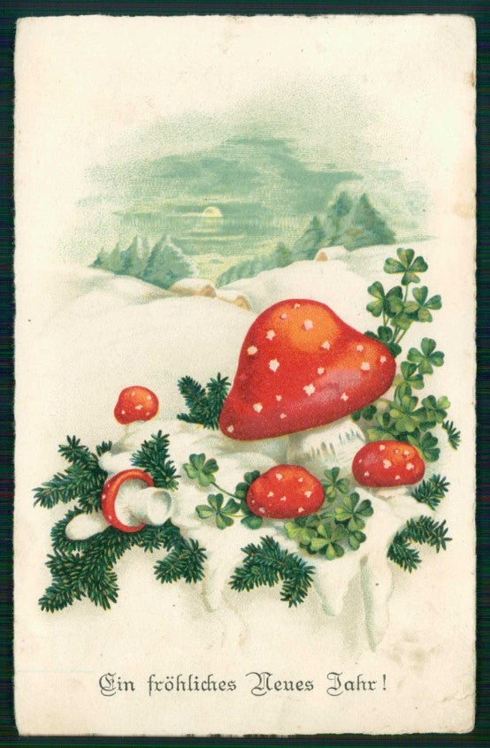 Buon Anno Happy New Year Mushroom Four Leaf Clover WRINKLES TEARED pc TC6563 – fronte
