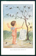 Artist Signed Angel Music Sheet Birds serie 1047 cartolina TC6632 – fronte