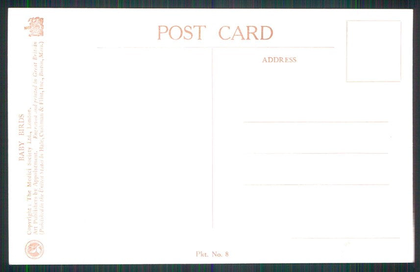 Artist Signed M F K Baby Birds Medici Society serie 8 cartolina TC6679 – retro
