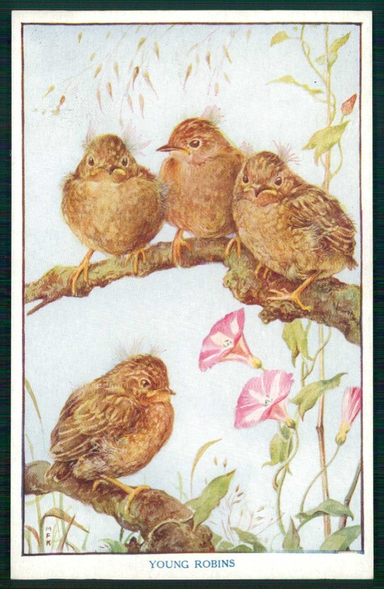 Artist Signed M F K Baby Birds Medici Society serie 8 cartolina TC6681 – fronte