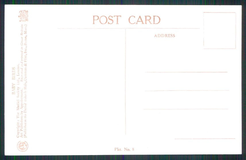 Artist Signed M F K Baby Birds Medici Society serie 8 cartolina TC6681 – retro