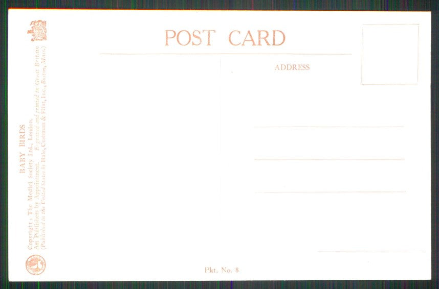 Artist Signed M F K Baby Birds Medici Society serie 8 cartolina TC6682 – retro