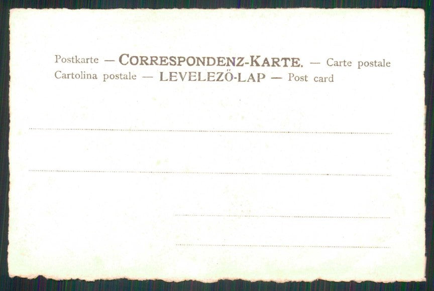 Artist Signed E. Docker Nörgelei Tetraonide cartolina TC6704 – retro