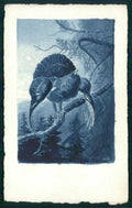 Animali Nörgelei Tetraonide Hand Painted Dipinta a Mano cartolina TC6705 – fronte