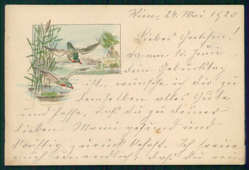 Animali germano reale cartoncino formato cartolina TC6709 – fronte