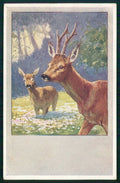 Artist Signed Feiertag ? Deer Cervo B K W I serie 784-1 cartolina TC6713 – fronte