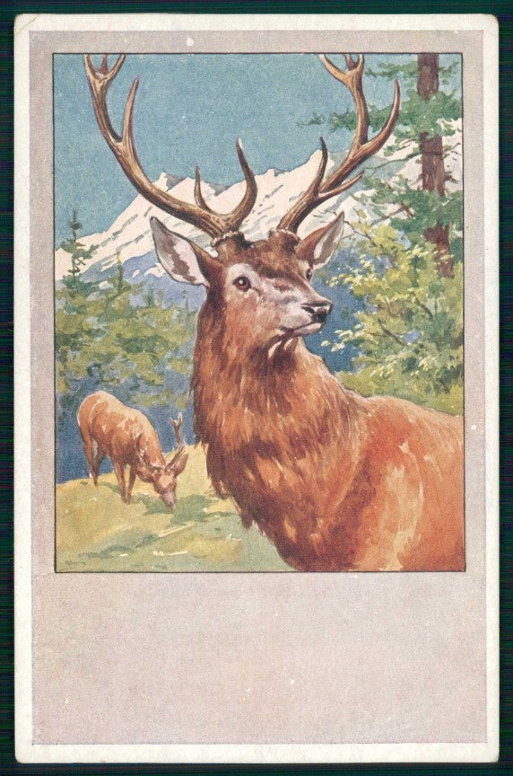 Artist Signed Feiertag ? Deer Cervo B K W I serie 784-4 cartolina TC6714 – fronte