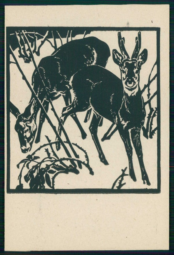 Artist Signed Bresslern Roth Deer Animali FG cartolina TC6717 – fronte
