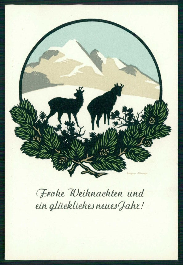 Artist Signed Josefine Allmayer camoscio alpino cartolina TC6721 – fronte