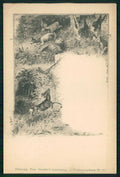 Animali Deer Cervo Theo Stroefer serie 11 cartolina TC6723 – fronte