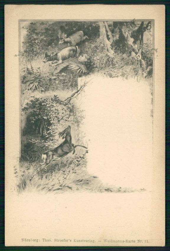 Animali Deer Cervo Theo Stroefer serie 11 cartolina TC6723 – fronte