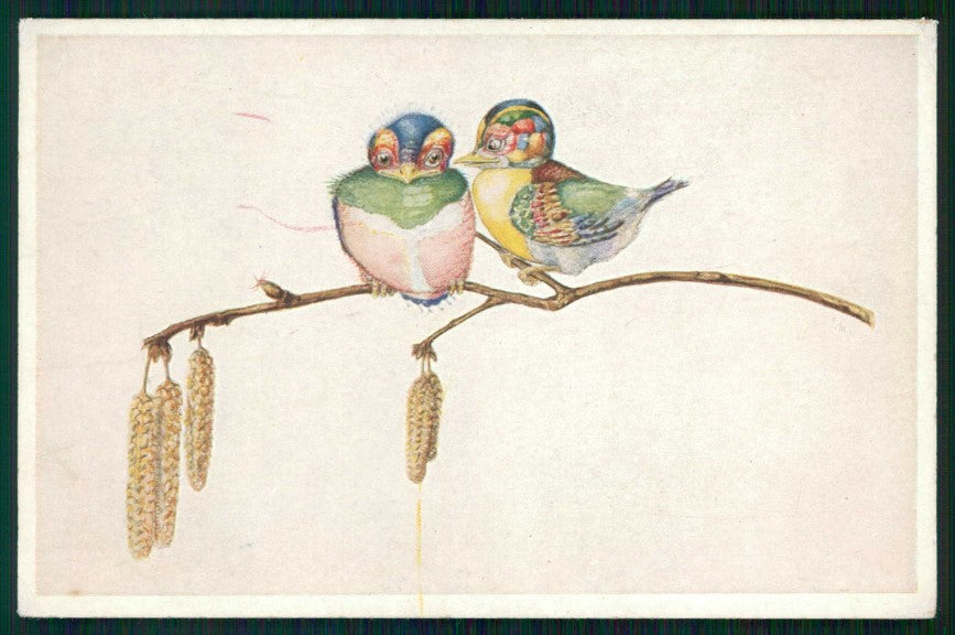 Animali Bird W L B serie 03396 cartolina TC6725 – fronte