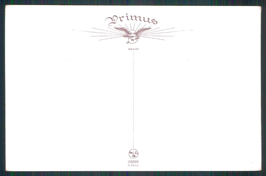 Animali Bird W L B serie 03398 cartolina TC6726 – retro