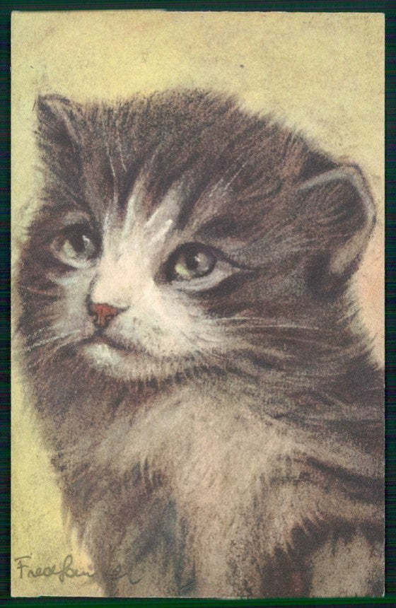Artist Signed Cat Gatto serie 82 cartolina TC6737 – fronte