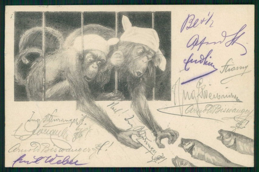 Monkey Scimmia cartolina TC6751 – fronte