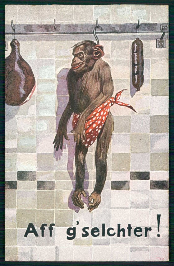 Monkey Scimmia serie 4294 cartolina TC6752 – fronte