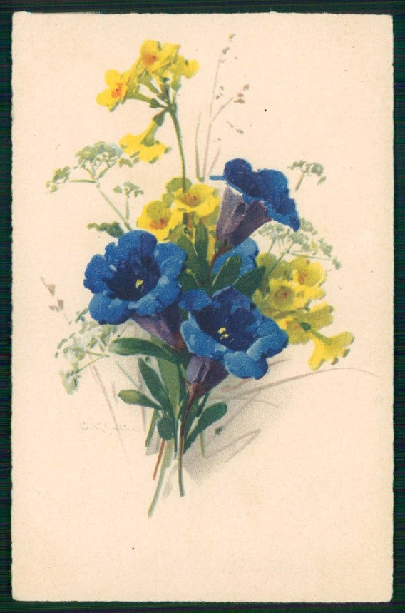 Artist Signed Catherine Klein Flowers Meissner Buch serie 2818 cartolina TC6815 – fronte