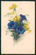 Artist Signed Catherine Klein Flowers Meissner Buch serie 2818 cartolina TC6815 – fronte