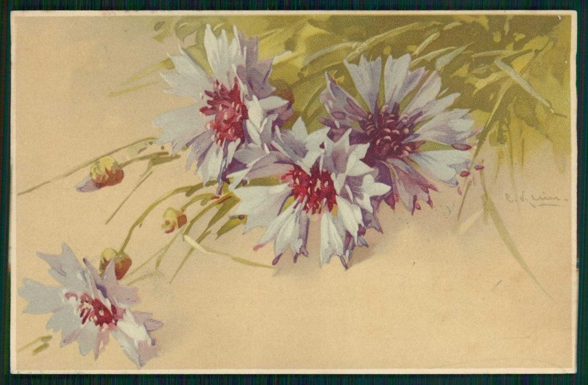 Artist Signed Catherine Klein Flowers Meissner Buch serie 1402 cartolina TC6820 – fronte