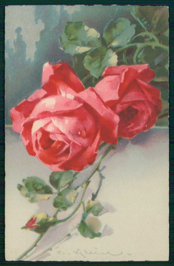 Artist Signed Catherine Klein Flowers Meissner Buch serie 2467 cartolina TC6826 – fronte