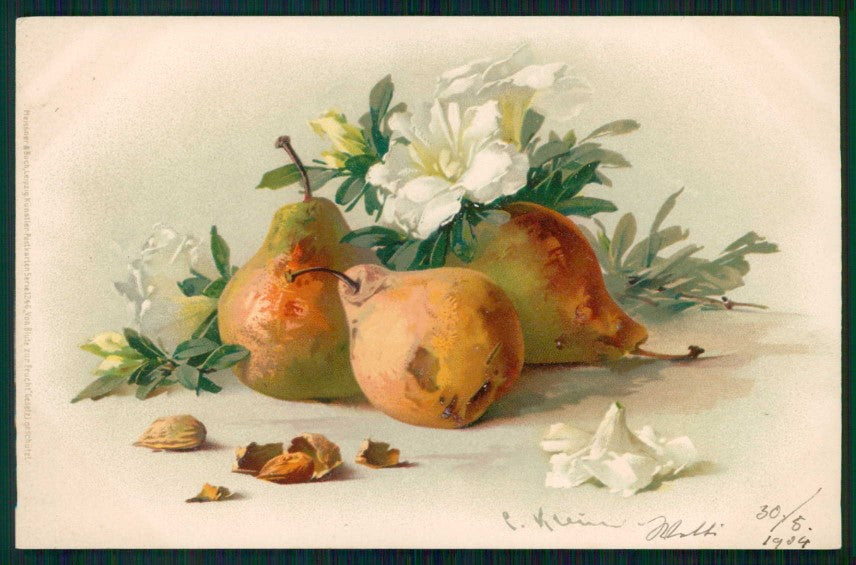 Artist Signed Catherine Klein Fruit Meissner Buch serie 1246 cartolina TC6827 – fronte
