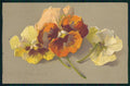 Artist Signed C. Klein Violet Flowers Meissner Buch serie 1883 cartolina TC6830 – fronte