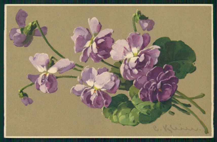 Artist Signed C. Klein Violet Flowers Meissner Buch serie 1762 cartolina TC6833 – fronte